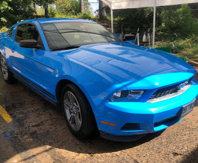 Mustang ceramic shine